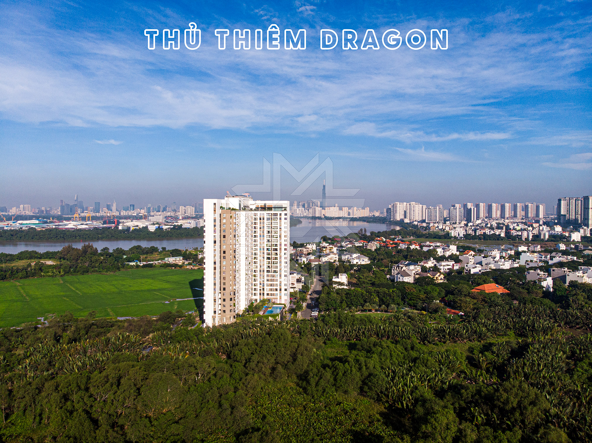 23Nov04_TTDragon12@0